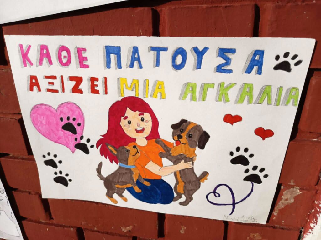 Πάτρα: Διαχείριση των αδέσποτων με Φιλόζωϊκές και Εθελοντές ΦΩΤΟ 29 Πάτρα: Διαχείριση των αδέσποτων με Φιλόζωϊκές και Εθελοντές ΦΩΤΟ