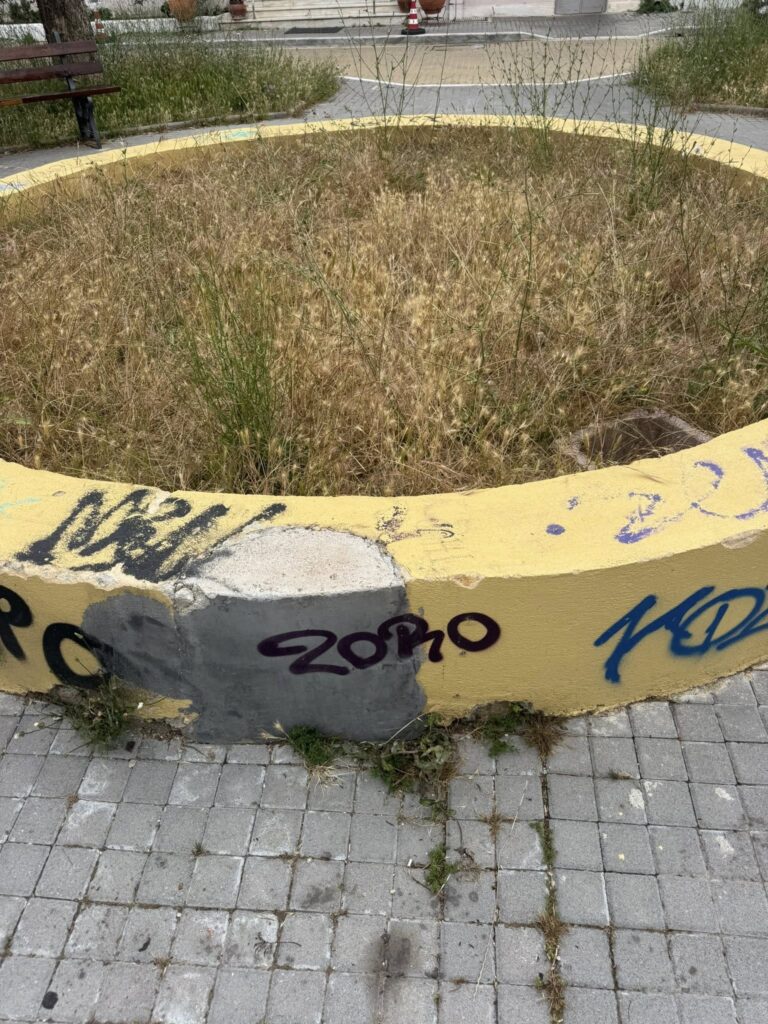Πάτρα: Τα χόρτα «έπνιξαν» γειτονιά στην πλατεία Παντοκράτορος ΦΩΤΟ 32 Πάτρα: Τα χόρτα «έπνιξαν» γειτονιά στην πλατεία Παντοκράτορος ΦΩΤΟ