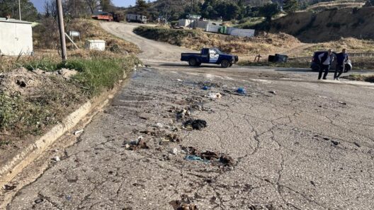 Πάτρα: Αποκαλύψεις «σοκ» στον ΧΥΤΑ Ξερόλακκας - Εικόνα ανεξέλεγκτη - Ανησυχία και οργή ΦΩΤΟ 37 Πάτρα: Αποκαλύψεις «σοκ» στον ΧΥΤΑ Ξερόλακκας - Εικόνα ανεξέλεγκτη - Ανησυχία και οργή ΦΩΤΟ