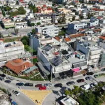 Πάτρα: Νέα ανατροπή στις κυκλοφοριακές αλλαγές, στο κέντρο - Η αντιδήμαρχος Α.Τογιοπούλου στο Patrapress.gr για τις αντιδρομήσεις