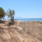 Πολίτες καταγράφουν, μελετούν και προστατεύουν σπάνιες Κενταύριες της Δυτικής Ελλάδας ΦΩΤΟ