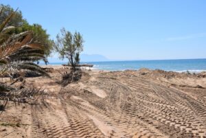 Πολίτες καταγράφουν, μελετούν και προστατεύουν σπάνιες Κενταύριες της Δυτικής Ελλάδας ΦΩΤΟ