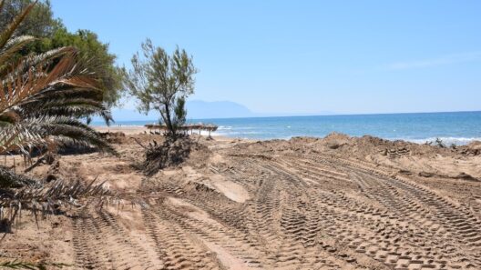 Πολίτες καταγράφουν, μελετούν και προστατεύουν σπάνιες Κενταύριες της Δυτικής Ελλάδας ΦΩΤΟ
