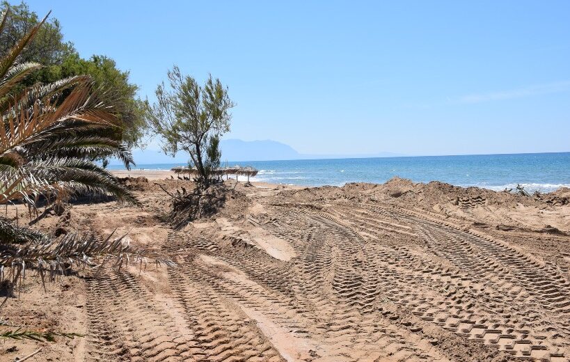 Πολίτες καταγράφουν, μελετούν και προστατεύουν σπάνιες Κενταύριες της Δυτικής Ελλάδας ΦΩΤΟ