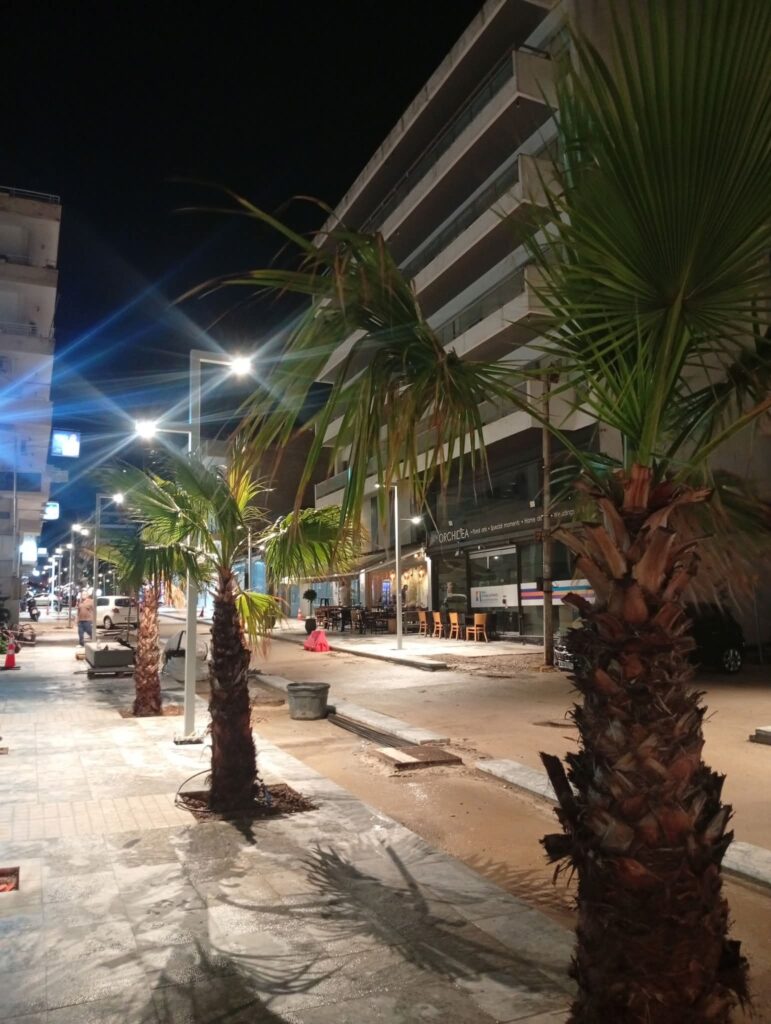 Αίγιο: «Εκπληξη» με...φοίνικες στην Ανάπαλση της οδού Μητροπόλεως ΦΩΤΟ 29 Αίγιο: «Εκπληξη» με...φοίνικες στην Ανάπαλση της οδού Μητροπόλεως ΦΩΤΟ