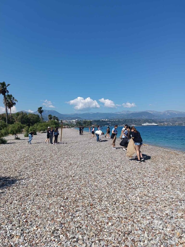 Η δράση καθαρισμού της Παραλίας Αλυκής ΦΩΤΟ 31 Η δράση καθαρισμού της Παραλίας Αλυκής ΦΩΤΟ
