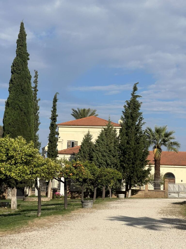 Πάτρα: Ολοκληρώθηκε με επιτυχία το Φεστιβάλ Παιδικού και Εφηβικού Βιβλίου στην Achaia Clauss 29 Πάτρα: Ολοκληρώθηκε με επιτυχία το Φεστιβάλ Παιδικού και Εφηβικού Βιβλίου στην Achaia Clauss