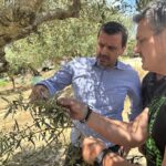 Ηλεία: Μία από τις μεγαλύτερες καταστροφές μετά από χαλαζόπτωση λέει ο Ανδρέας Νικολακόπουλος ΦΩΤΟ