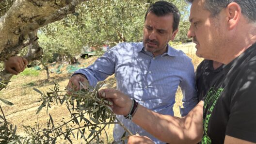 Ηλεία: Μία από τις μεγαλύτερες καταστροφές μετά από χαλαζόπτωση λέει ο Ανδρέας Νικολακόπουλος ΦΩΤΟ 38 Ηλεία: Μία από τις μεγαλύτερες καταστροφές μετά από χαλαζόπτωση λέει ο Ανδρέας Νικολακόπουλος ΦΩΤΟ
