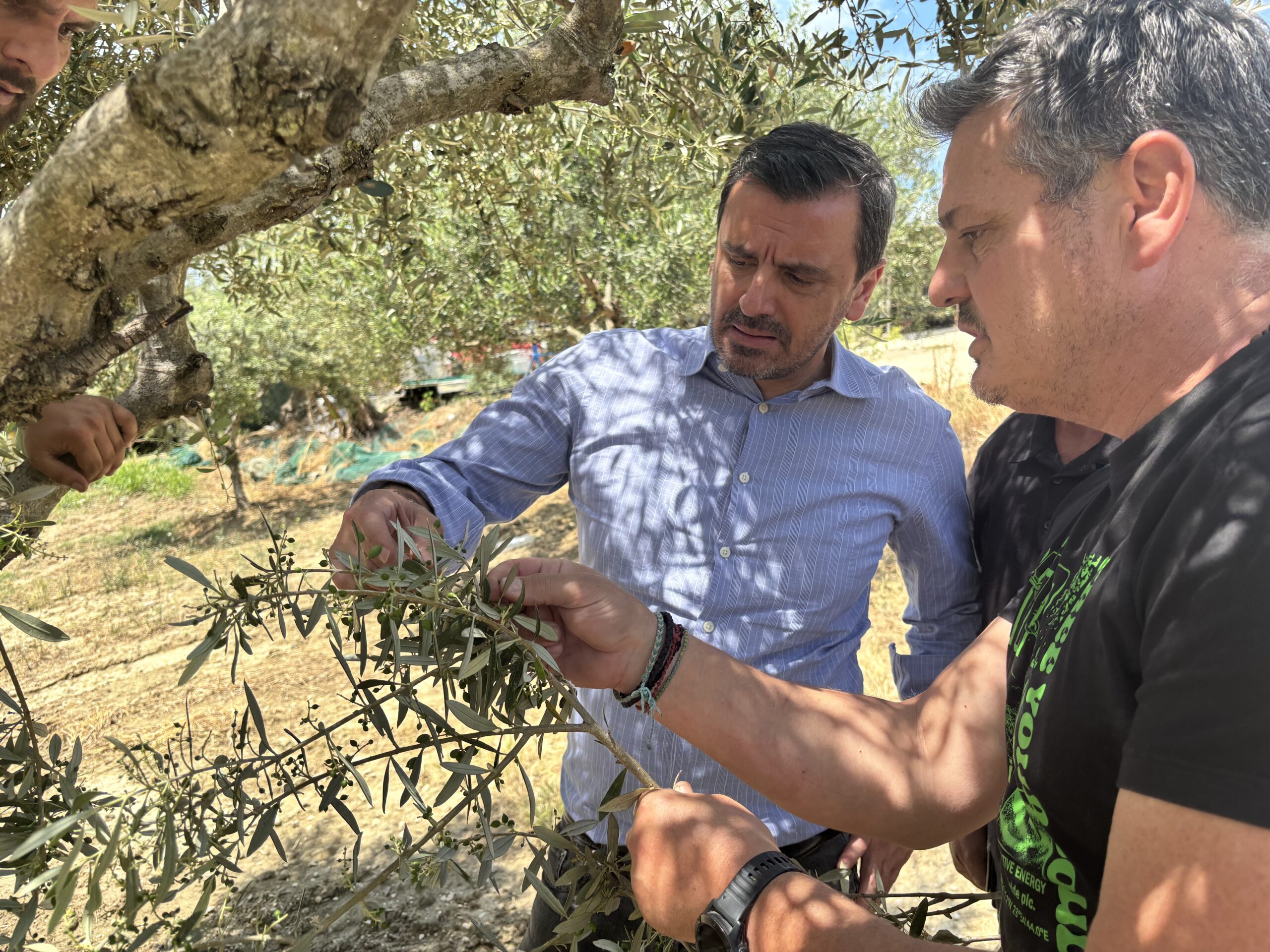 Ηλεία: Μία από τις μεγαλύτερες καταστροφές μετά από χαλαζόπτωση λέει ο Ανδρέας Νικολακόπουλος ΦΩΤΟ