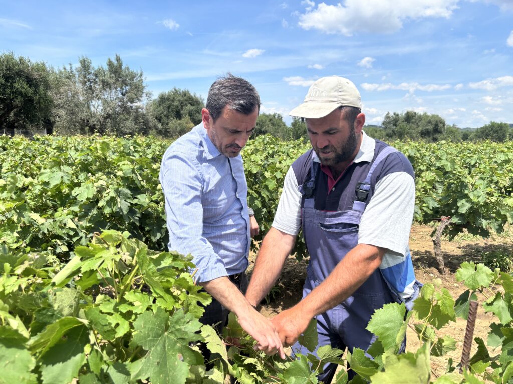 Ηλεία: Μία από τις μεγαλύτερες καταστροφές μετά από χαλαζόπτωση λέει ο Ανδρέας Νικολακόπουλος ΦΩΤΟ 29 Ηλεία: Μία από τις μεγαλύτερες καταστροφές μετά από χαλαζόπτωση λέει ο Ανδρέας Νικολακόπουλος ΦΩΤΟ