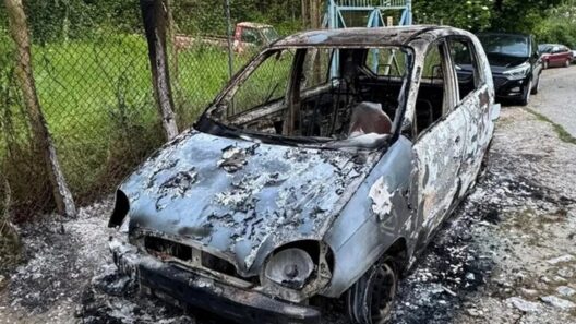Του έκαψαν το αυτοκίνητο επειδή κατήγγειλε κακοποίηση ζώων! 36 Του έκαψαν το αυτοκίνητο επειδή κατήγγειλε κακοποίηση ζώων!