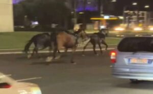 Τραυματίες από άλογα που κάλπαζαν εκτός ελέγχου στη Ρώμη ΒΙΝΤΕΟ