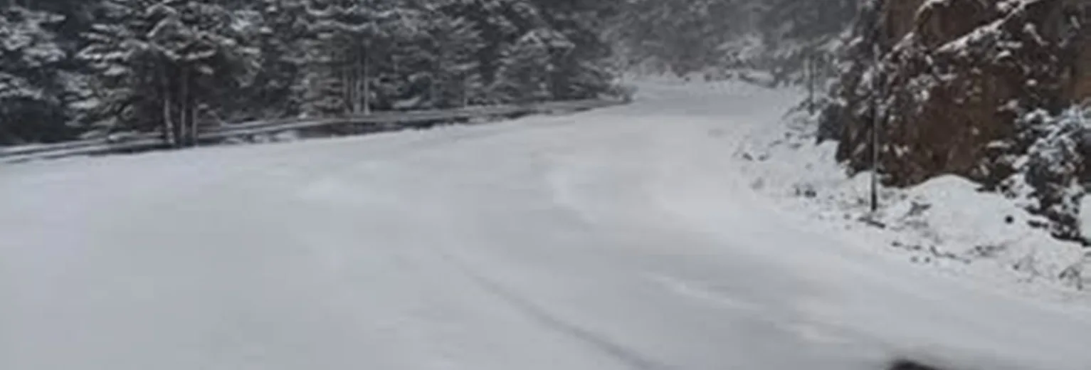 Σάββατο 2 Μαΐου 26, στον Παρνασσό