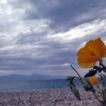 Αχαΐα: Άστατος ο καιρός την Κυριακή