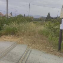 Πατρών-Πύργου: Επικίδυνη βλάστηση για φωτια κατά μήκος της σιδηροδρομικής γραμμής ΦΩΤΟ