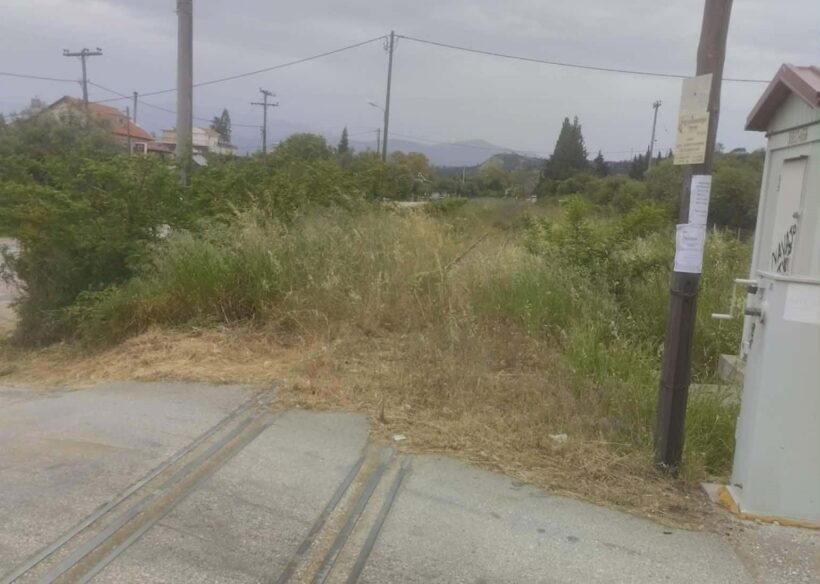 Πατρών-Πύργου: Επικίνδυνη βλάστηση για φωτιά κατά μήκος της σιδηροδρομικής γραμμής ΦΩΤΟ