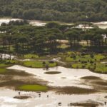 Αχαΐα: Το μακάβριο εύρημα στο δάσος της Στροφυλιάς και η εξαφάνιση «θρίλερ» του 2022 ΦΩΤΟ