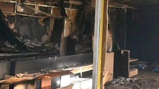 Γαστούνη: «Πιάστηκαν» οι δράστες εμπρησμού καταστήματος περιπτέρα που είχαν ξυλοκοπήσει! 36 Γαστούνη: «Πιάστηκαν» οι δράστες εμπρησμού καταστήματος περιπτέρα που είχαν ξυλοκοπήσει!