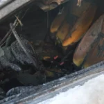 Πάτρα: «Μυστήριο» με εμπρησμούς σε ΙΧ και μηχανές - Τι αποκαλύπτει στο Patrapress.gr ο Διοικητής της Πυροσβεστικής Αχαΐας