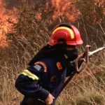 Πυροσβεστική: Ποιες περιοχές έχουν πολύ υψηλό κίνδυνο πυρκαγιάς αύριο - ΧΑΡΤΗΣ