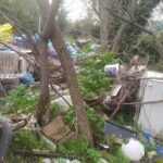 Πάτρα: Υγειονομική «βόμβα» σε παρθένο δάσος, στο Παυλόκαστρο - Καλούνται να επέμβουν Εισαγγελέας και Πυροσβεστική ΦΩΤΟ