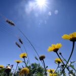 Αχαΐα: Καιρός αίθριος, χωρίς μποφόρ και το θερμόμετρο πολύ ψηλά