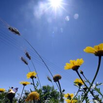 Αχαΐα: Καιρός αίθριος, χωρίς μποφόρ και το θερμόμετρο πολύ ψηλά
