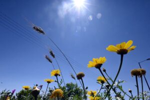 Αχαΐα: Καιρός αίθριος, χωρίς μποφόρ και το θερμόμετρο πολύ ψηλά