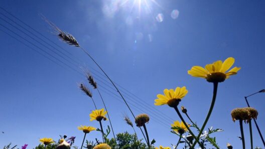 Αχαΐα: Καιρός αίθριος, χωρίς μποφόρ και το θερμόμετρο πολύ ψηλά