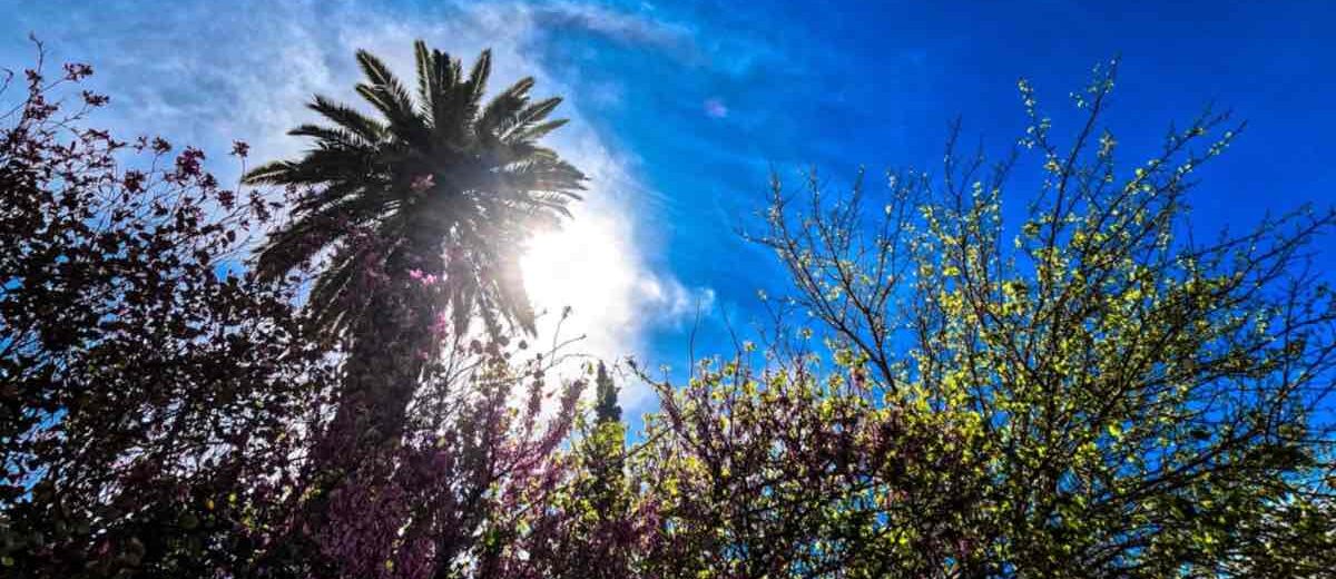 Αχαΐα: Πάνω σήμερα η θερμοκρασία