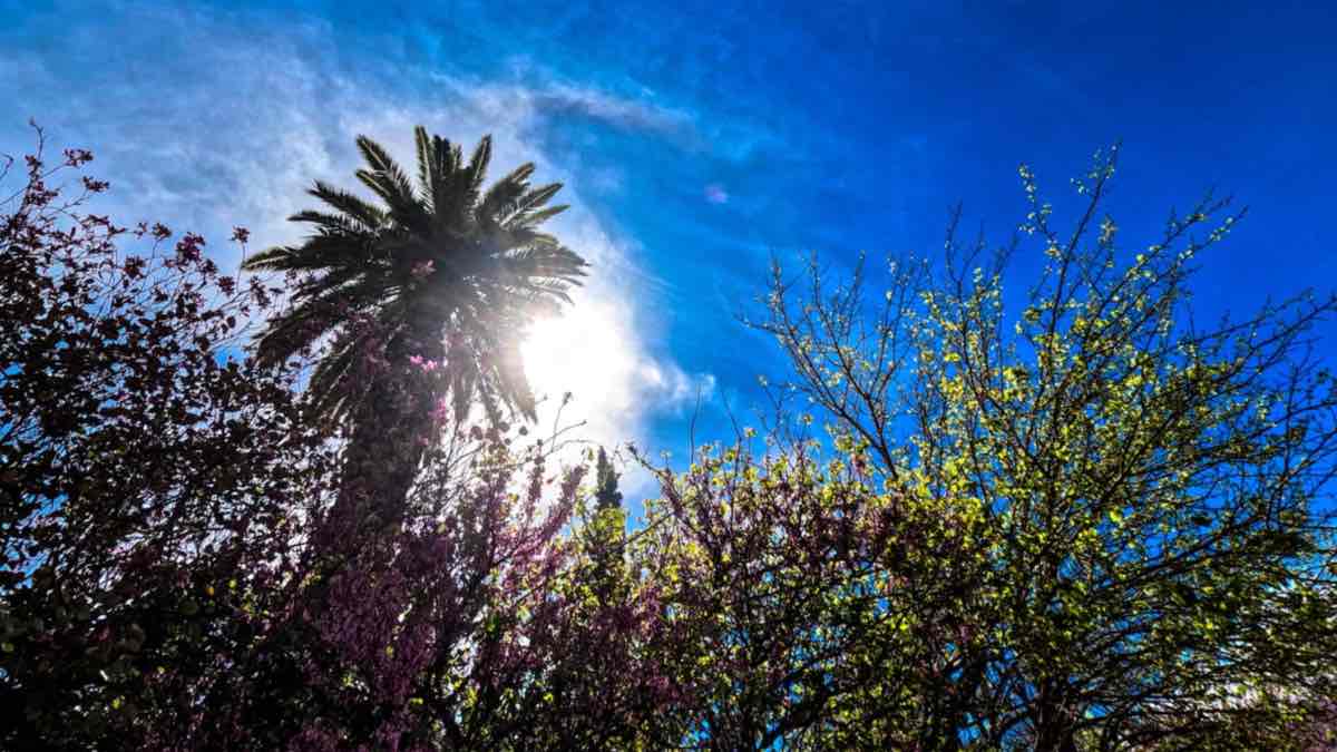Αχαΐα - Καιρός: Πάνω σήμερα η θερμοκρασία