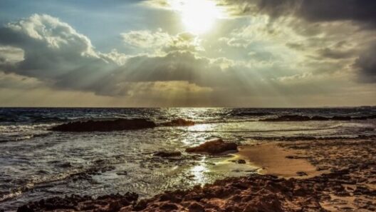 Αχαΐα: Επιμένει η αστάθεια του καιρού - Πού θα βρέξει σήμερα 52 Αχαΐα: Επιμένει η αστάθεια του καιρού - Πού θα βρέξει σήμερα