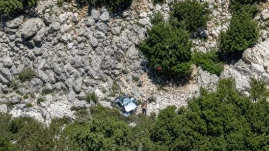 Καλαμάτα: Άνδρας εντοπίστηκε νεκρός μέσα σε χαράδρα 38 Καλαμάτα: Άνδρας εντοπίστηκε νεκρός μέσα σε χαράδρα