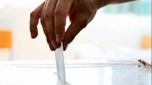 Εκλογές και νέο ΔΣ στον Σύλλογο Κρητών Πάτρας 36 Εκλογές και νέο ΔΣ στον Σύλλογο Κρητών Πάτρας