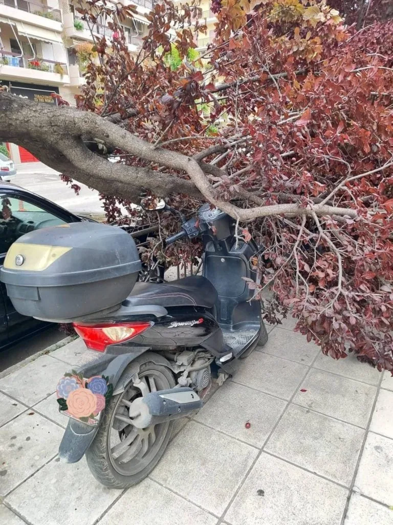 Πάτρα: Τεράστιο κλαδί «προσγειώθηκε» σε μηχανάκια ΦΩΤΟ