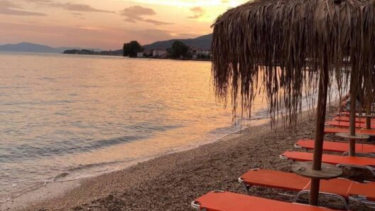 Αχαΐα: Τα αποτελέσματα ποιότητας των νερών στις παραλίες - Πού επιτρέπεται και πού όχι το κολύμπι 36 Αχαΐα: Τα αποτελέσματα ποιότητας των νερών στις παραλίες - Πού επιτρέπεται και πού όχι το κολύμπι