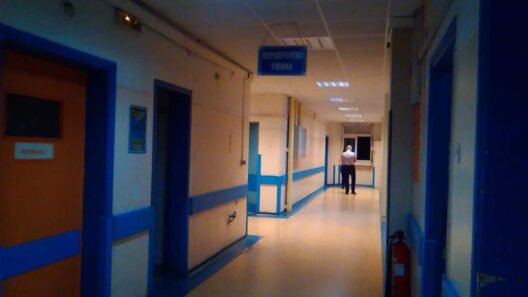 Νίκαια: Πού βρέθηκε το ιατρικό μηχάνημα αξίας που «εξαφανίστηκε» από το Νοσοκομείο 36 Νίκαια: Πού βρέθηκε το ιατρικό μηχάνημα αξίας που «εξαφανίστηκε» από το Νοσοκομείο