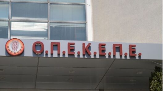 Κρήτη: Στην Ευρωπαϊκή Εισαγγελία οι 20 συλληφθέντες για τις παράνομες επιδοτήσεις του ΟΠΕΚΕΠΕ 37 Κρήτη: Στην Ευρωπαϊκή Εισαγγελία οι 20 συλληφθέντες για τις παράνομες επιδοτήσεις του ΟΠΕΚΕΠΕ