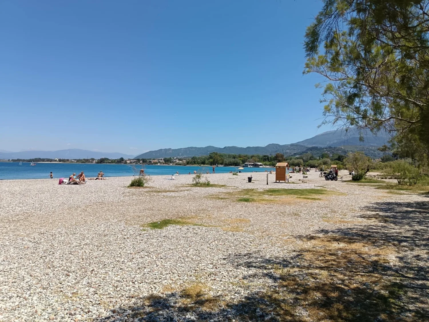 Δράση εθελοντισμού στην Πλαζ από το Πανεπιστήμιο Πατρών 4 Πλαζ