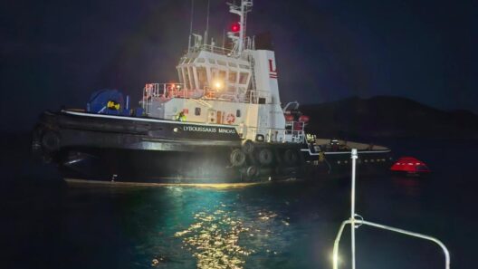 ΠΕΠΙΕΘ: Ο Γιώργος Βάλλης για την προσάραξη ρυμουλκού στην Κάρυστο ΦΩΤΟ