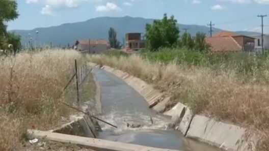 Σέρρες: Συλλήψεις για τον θάνατο του 10χρονου που εντοπίστηκε νεκρός σε κανάλι 36 Σέρρες: Συλλήψεις για τον θάνατο του 10χρονου που εντοπίστηκε νεκρός σε κανάλι