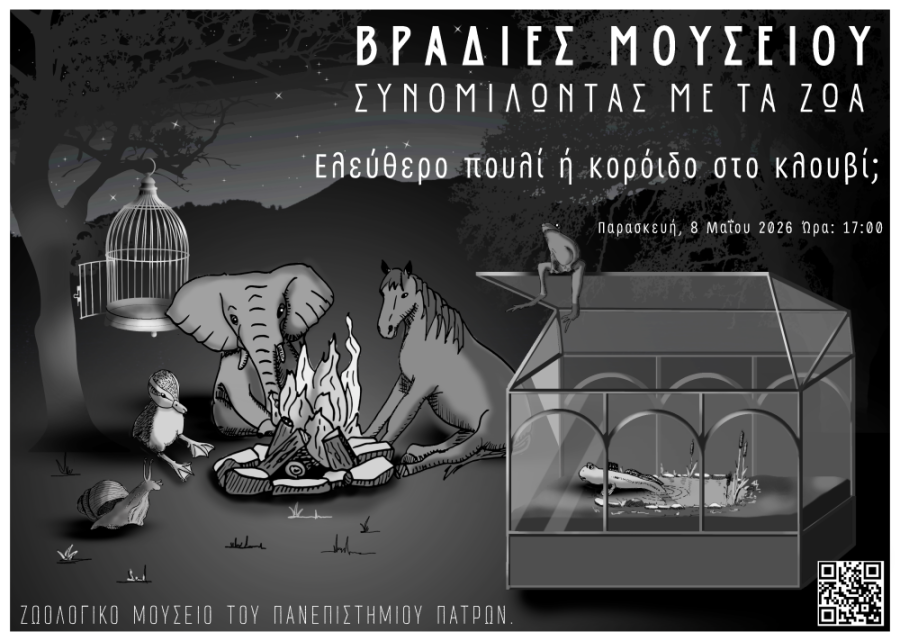 Συνομιλώντας με τα «Ζώα» από το ΑΕΙ Πάτρας 5 Συνομιλώντας με τα «Ζώα» από το ΑΕΙ Πάτρας