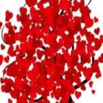 Εθελοντική αιμοδοσία από το «Στέκι εν Δράσει» Πάτρας