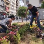 Πάτρα: Φύτευση λουλουδιών σε πλατείες, από τον δήμο ΦΩΤΟ
