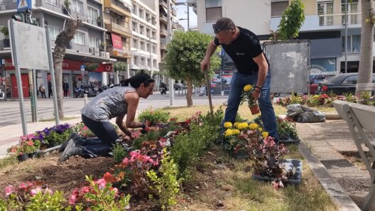Πάτρα: Φύτευση λουλουδιών σε πλατείες, από τον δήμο ΦΩΤΟ 39 Πάτρα: Φύτευση λουλουδιών σε πλατείες, από τον δήμο ΦΩΤΟ