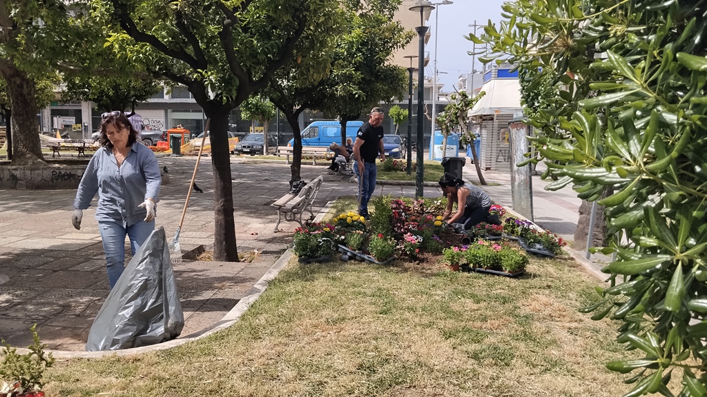 Πάτρα: Φύτευση λουλουδιών σε πλατείες, από τον δήμο ΦΩΤΟ 29 Πάτρα: Φύτευση λουλουδιών σε πλατείες, από τον δήμο ΦΩΤΟ
