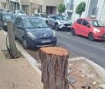 Πάτρα: Ξήλωσαν δέντρα...λένε για τα πλακάκια τυφλών ΦΩΤΟ