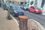 Πάτρα: Ξήλωσαν δέντρα...λένε για τα πλακάκια τυφλών ΦΩΤΟ