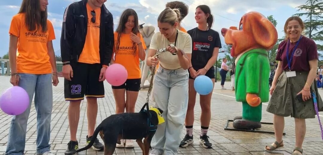 Μαθητικό Φεστιβάλ «Υιοθετούμε αγάπη... με ουρά», υπό βροχή στην πλαζ Αγυιάς